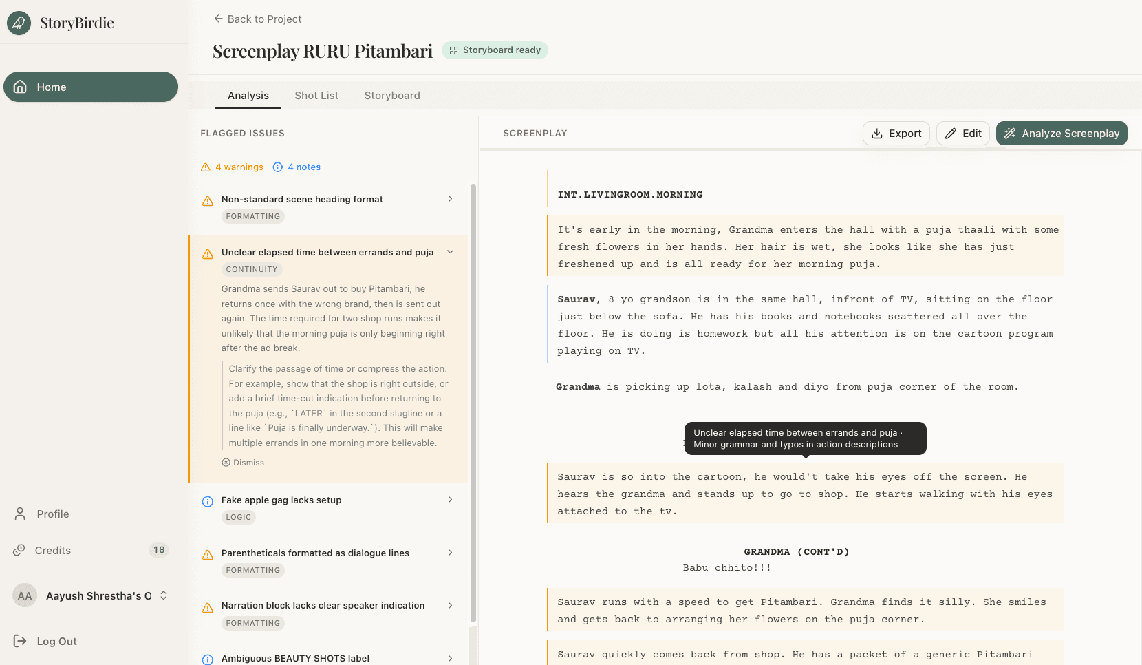 StoryBirdie's full pipeline: screenplay analysis with flagged issues, shot list, and storyboard tabs